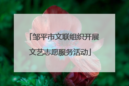 邹平市文联组织开展文艺志愿服务活动