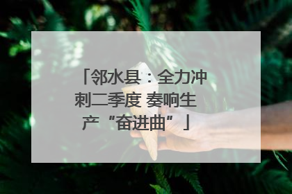 邻水县：全力冲刺二季度 奏响生产“奋进曲”