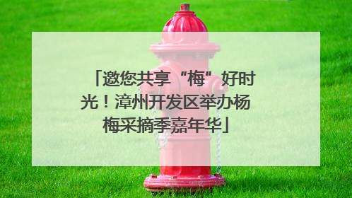 邀您共享“梅”好时光！漳州开发区举办杨梅采摘季嘉年华