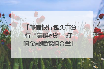 邮储银行包头市分行“集群e贷” 打响金融赋能组合拳