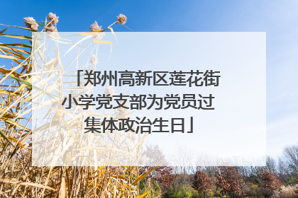 郑州高新区莲花街小学党支部为党员过集体政治生日
