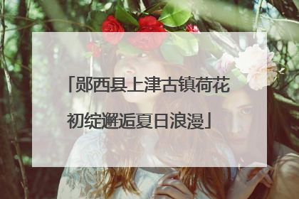 郧西县上津古镇荷花初绽邂逅夏日浪漫