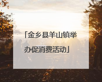金乡县羊山镇举办促消费活动
