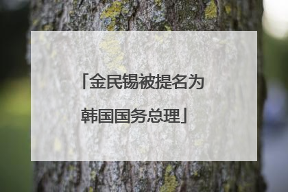 金民锡被提名为韩国国务总理