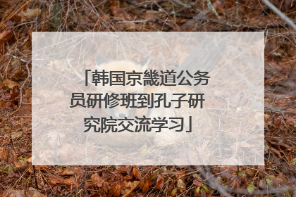 韩国京畿道公务员研修班到孔子研究院交流学习