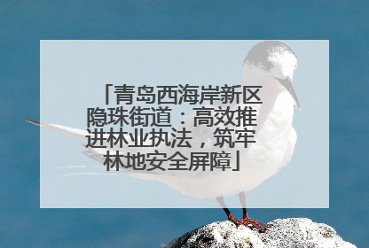 青岛西海岸新区隐珠街道：高效推进林业执法，筑牢林地安全屏障