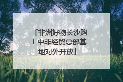 非洲好物长沙购！中非经贸总部基地对外开放