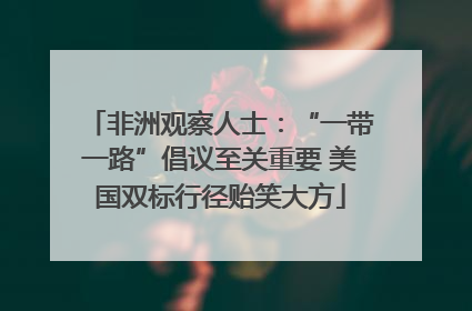 非洲观察人士：“一带一路”倡议至关重要 美国双标行径贻笑大方