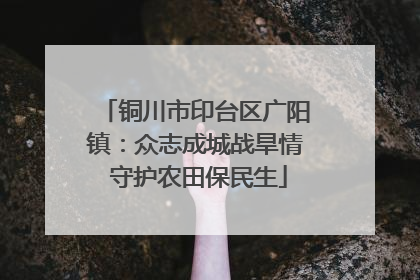 铜川市印台区广阳镇：众志成城战旱情 守护农田保民生