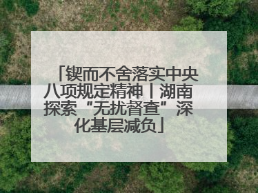 锲而不舍落实中央八项规定精神丨湖南探索“无扰督查”深化基层减负