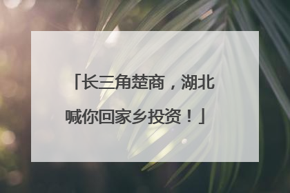 长三角楚商，湖北喊你回家乡投资！