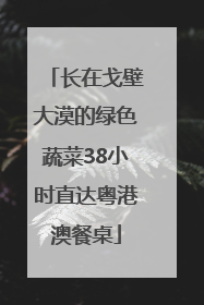 长在戈壁大漠的绿色蔬菜38小时直达粤港澳餐桌