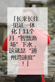 长来长往·见证一体化丨11个月“智慧渔场”下水，这就是“通州湾速度”！
