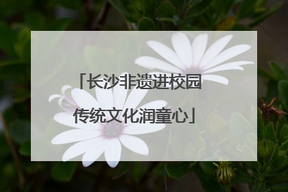 长沙非遗进校园 传统文化润童心
