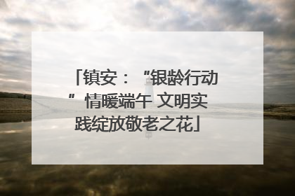镇安：“银龄行动”情暖端午 文明实践绽放敬老之花