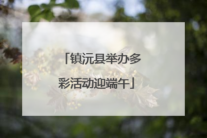 镇沅县举办多彩活动迎端午