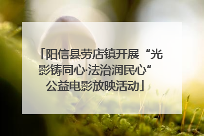 阳信县劳店镇开展“光影铸同心·法治润民心”公益电影放映活动