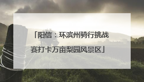 阳信：环滨州骑行挑战赛打卡万亩梨园风景区