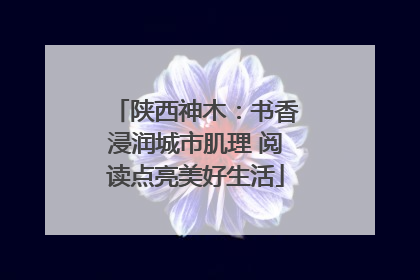 陕西神木：书香浸润城市肌理 阅读点亮美好生活