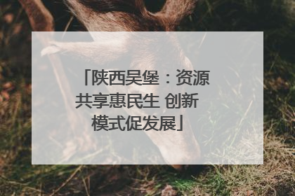 陕西吴堡：资源共享惠民生 创新模式促发展