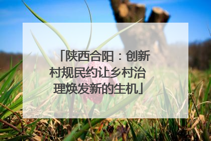 陕西合阳：创新村规民约让乡村治理焕发新的生机