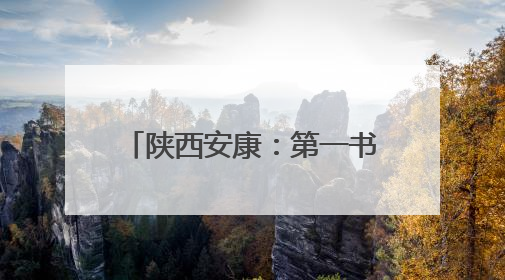 陕西安康：第一书记聚合力促振兴