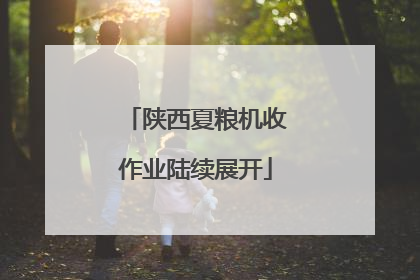 陕西夏粮机收作业陆续展开