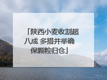 陕西小麦收割超八成 多措并举确保颗粒归仓