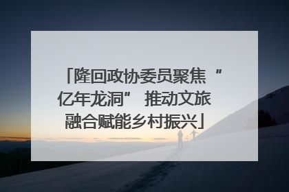 隆回政协委员聚焦“亿年龙洞” 推动文旅融合赋能乡村振兴