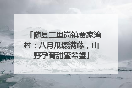 随县三里岗镇贾家湾村：八月瓜缀满藤，山野孕育甜蜜希望