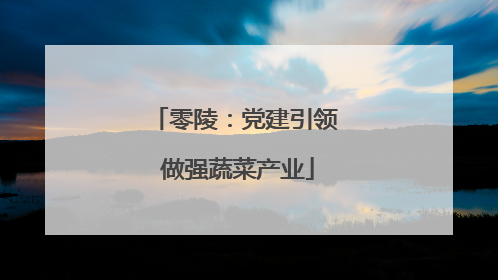 零陵：党建引领 做强蔬菜产业