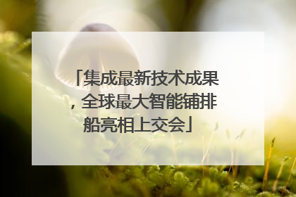 集成最新技术成果，全球最大智能铺排船亮相上交会