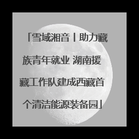 雪域湘音丨助力藏族青年就业 湖南援藏工作队建成西藏首个清洁能源装备园