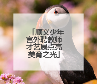 顺义少年宫外聘教师才艺展点亮美育之光