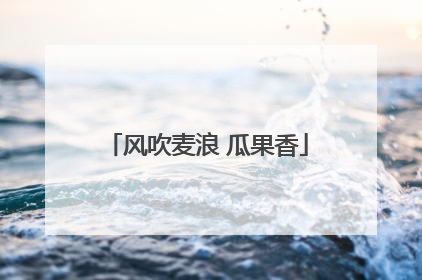 风吹麦浪 瓜果香