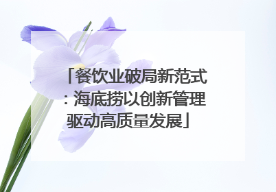 餐饮业破局新范式：海底捞以创新管理驱动高质量发展