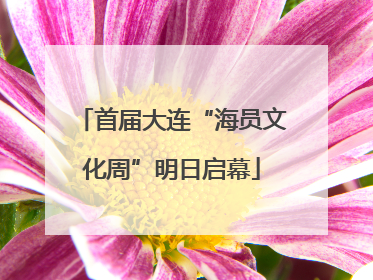 首届大连“海员文化周”明日启幕