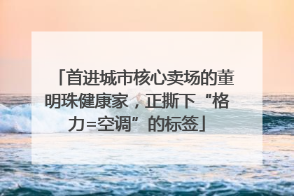 首进城市核心卖场的董明珠健康家，正撕下“格力=空调”的标签