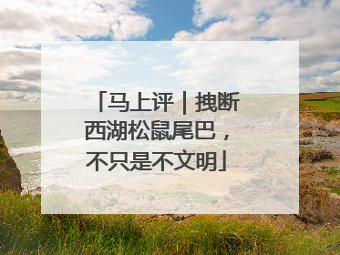 马上评｜拽断西湖松鼠尾巴，不只是不文明
