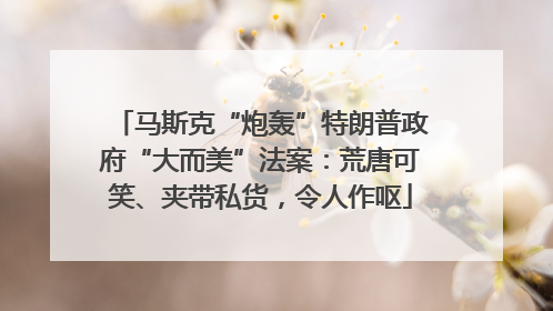 马斯克“炮轰”特朗普政府“大而美”法案：荒唐可笑、夹带私货，令人作呕