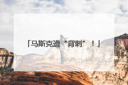 马斯克遭“背刺”！