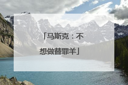 马斯克：不想做替罪羊