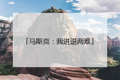 马斯克：我进退两难