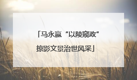 马永嬴“以陵窥政” 掠影文景治世风采