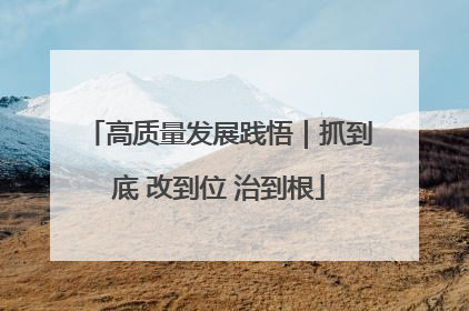 高质量发展践悟｜抓到底 改到位 治到根