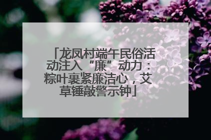 龙凤村端午民俗活动注入“廉”动力：粽叶裹紧廉洁心，艾草锤敲警示钟