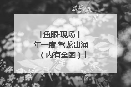 鱼眼·现场丨一年一度 驾龙出涌（内有全图）