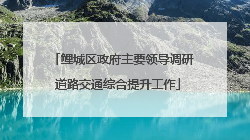 鲤城区政府主要领导调研道路交通综合提升工作
