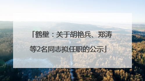 鹤壁：关于胡艳兵、郑涛等2名同志拟任职的公示