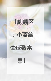 麒麟区：小蓝莓变成致富果